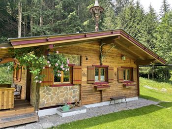 Hütte Waldzeit