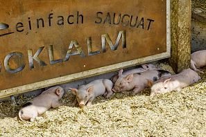 AlmVieh theatervoorstelling schuur Hexenwasser Stöcklalm Söll