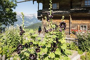 Hospodářská zahrada u Simonalmu v Söllu v létě ve SkiWelt Wilder Kaiser Brixental