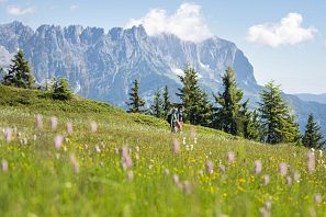 Horská stanice Brandstadl na náhorní plošině Scheffau s výhledem na Wilder Kaiser ve SkiWelt Wilder Kaiser Brixental v Kaiserwelt