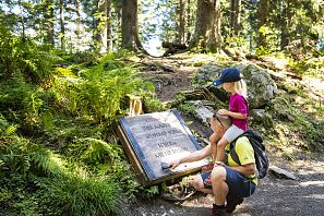 Ellmi's Zauberwelt Ellmau SkiWelt Wilder Kaiser Brixental Summer