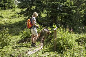 Geology trail (c) Hannes Dabernig (14)