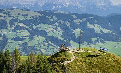 alpinolino-westendorf-im-sommer-in-skiwelt-wilder-kaiser-brixental-26-5