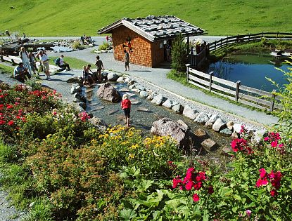 barfussweg-am-berg-hochsoell-in-soell-hexenwasser-abenteuerspielplatz-im-sommer-in-skiwelt-wilder-kaiser-brixental-4