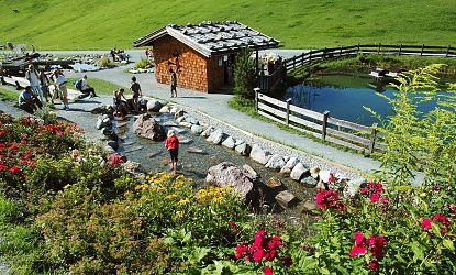 barfussweg-am-berg-hochsoell-in-soell-hexenwasser-abenteuerspielplatz-im-sommer-in-skiwelt-wilder-kaiser-brixental-5