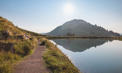 kleine-salve-itter-richtung-hohe-salve-im-sommer-in-skiwelt-wilder-kaiser-brixental-9-6