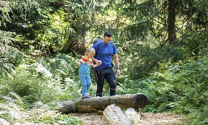 riesenwelt-in-skiwelt-wilder-kaiser-brixental-138-5