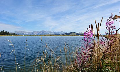 salvensee-hohe-salve-hofpgarten-seenwanderung-im-sommer-skiwelt-wilder-kaiser-brixental-5