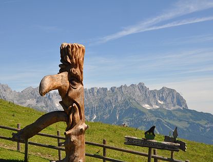 schnitzfiguren-wanderweg-ruebezahl-alm-in-ellmau-am-hartkaiser-am-berg-im-sommer-in-skiwelt-wilder-kaiser-brixental-4