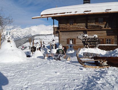 simonalm-skiwelt-soell-seminaralm-1-46