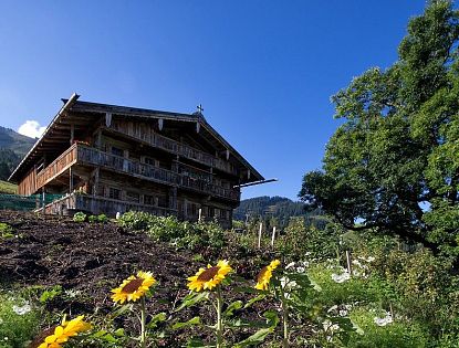 simonalm-skiwelt-soell-seminaralm-5