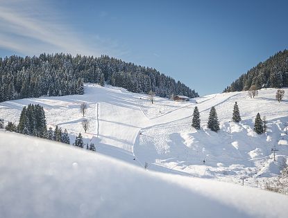 skiwelt-wilder-kaiser-brixental-dietmar-denger-98-4