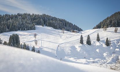 skiwelt-wilder-kaiser-brixental-dietmar-denger-98-5