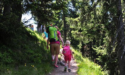 wandern-in-alpinolino-westendorf-5