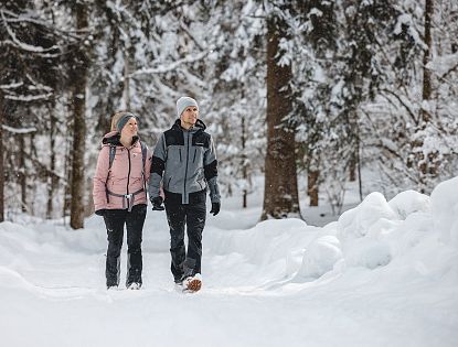 winterwandern-im-wald-in-region-wilder-kaiser-4