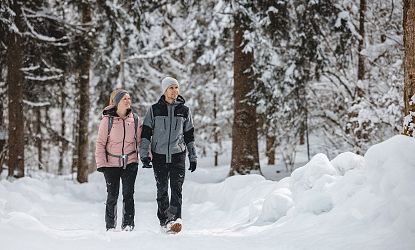 winterwandern-im-wald-in-region-wilder-kaiser-5